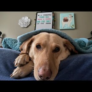 Meet your Posher, Madelyn